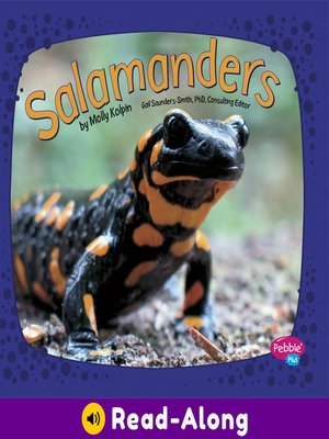 cover image of Salamanders